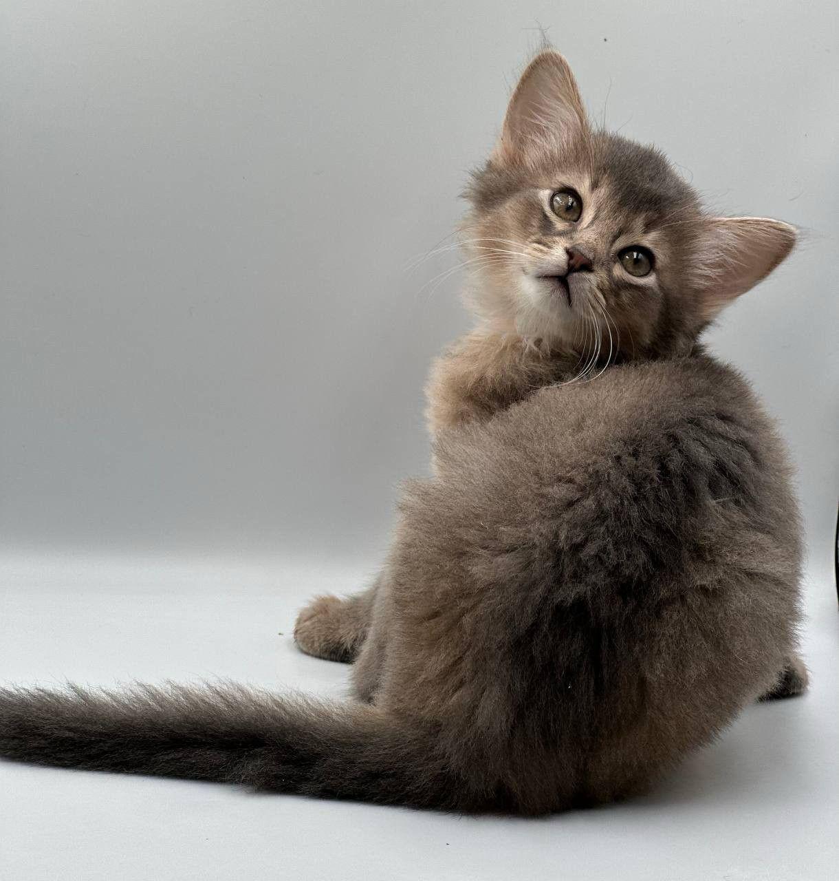 049e7f16-7ef7-4d42-a7bd-4ec9ab54d02a