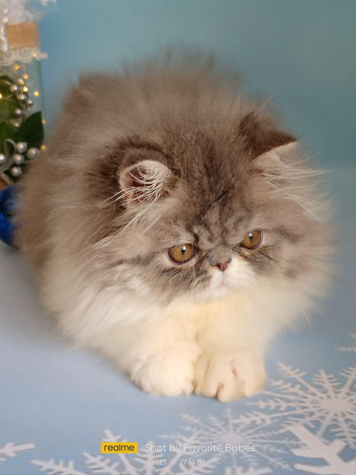 0a41702f-52d3-4ddf-9326-58653c53c4de