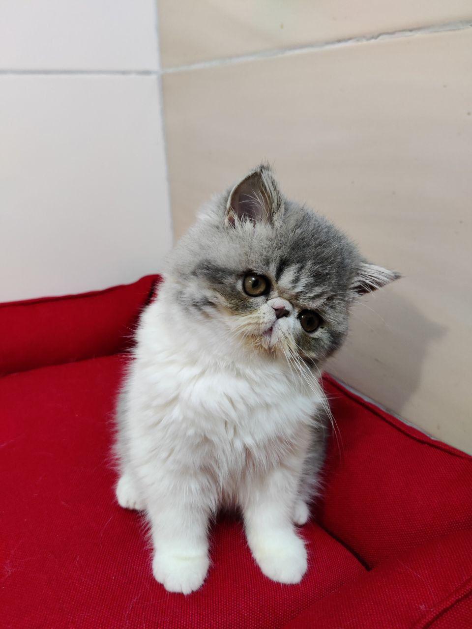 146beb9e-2bd5-4635-b173-17793cf585bb