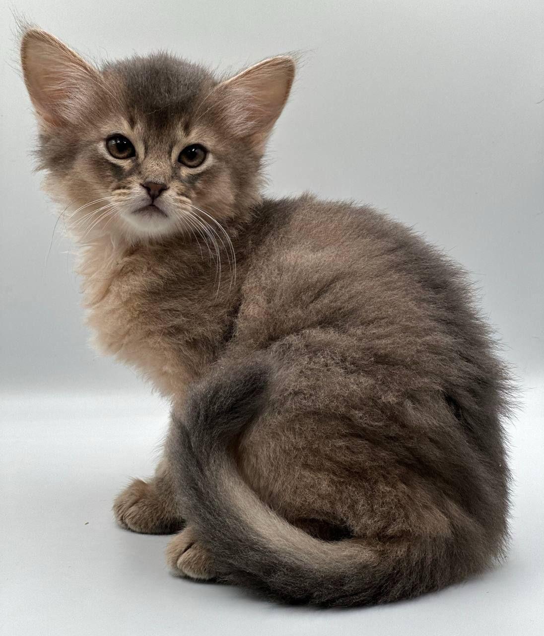 186d68d8-67d4-4fc6-ab30-47327cc89731