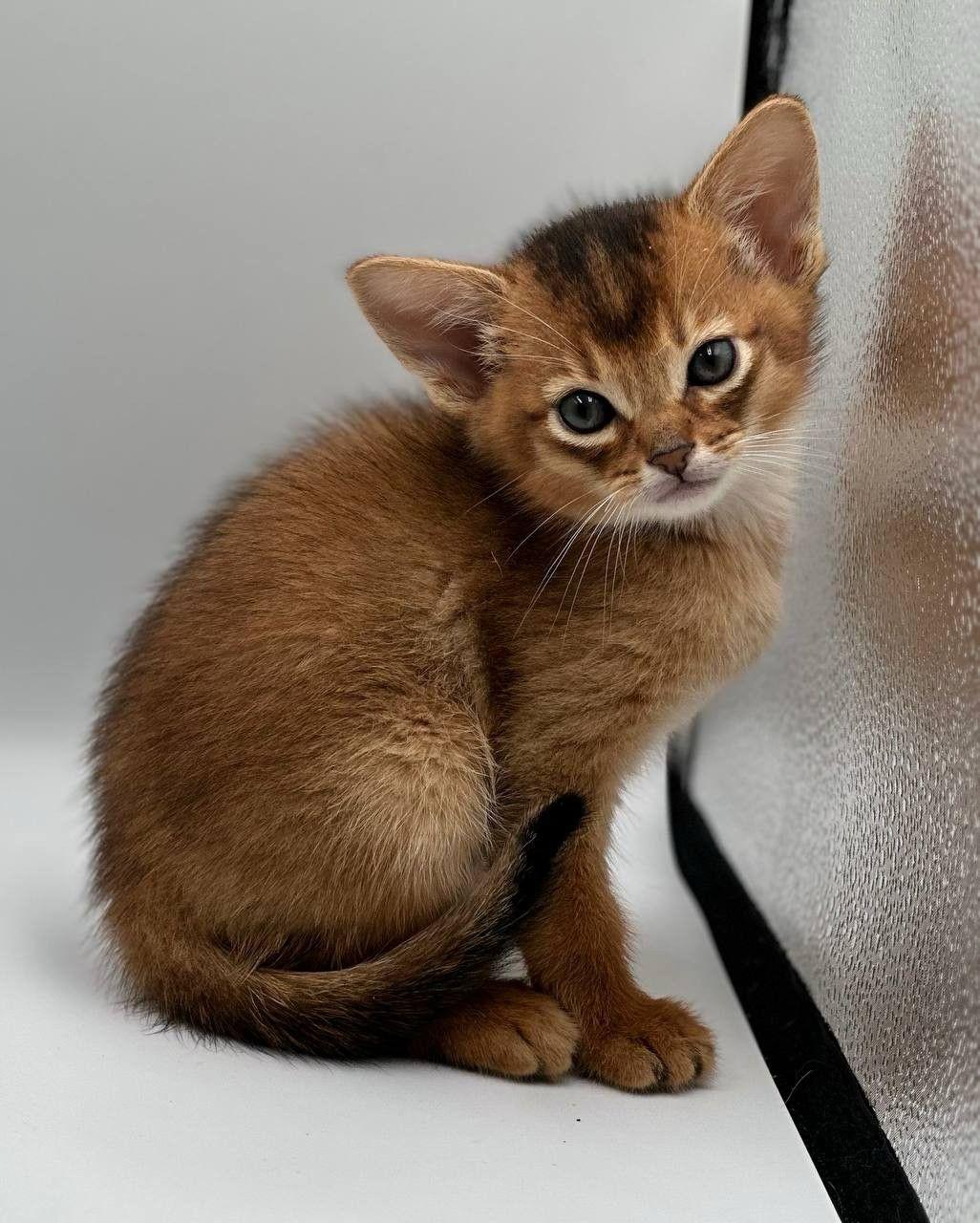 28d49ec6-773a-45e4-a88b-e94f7ee3a2f9