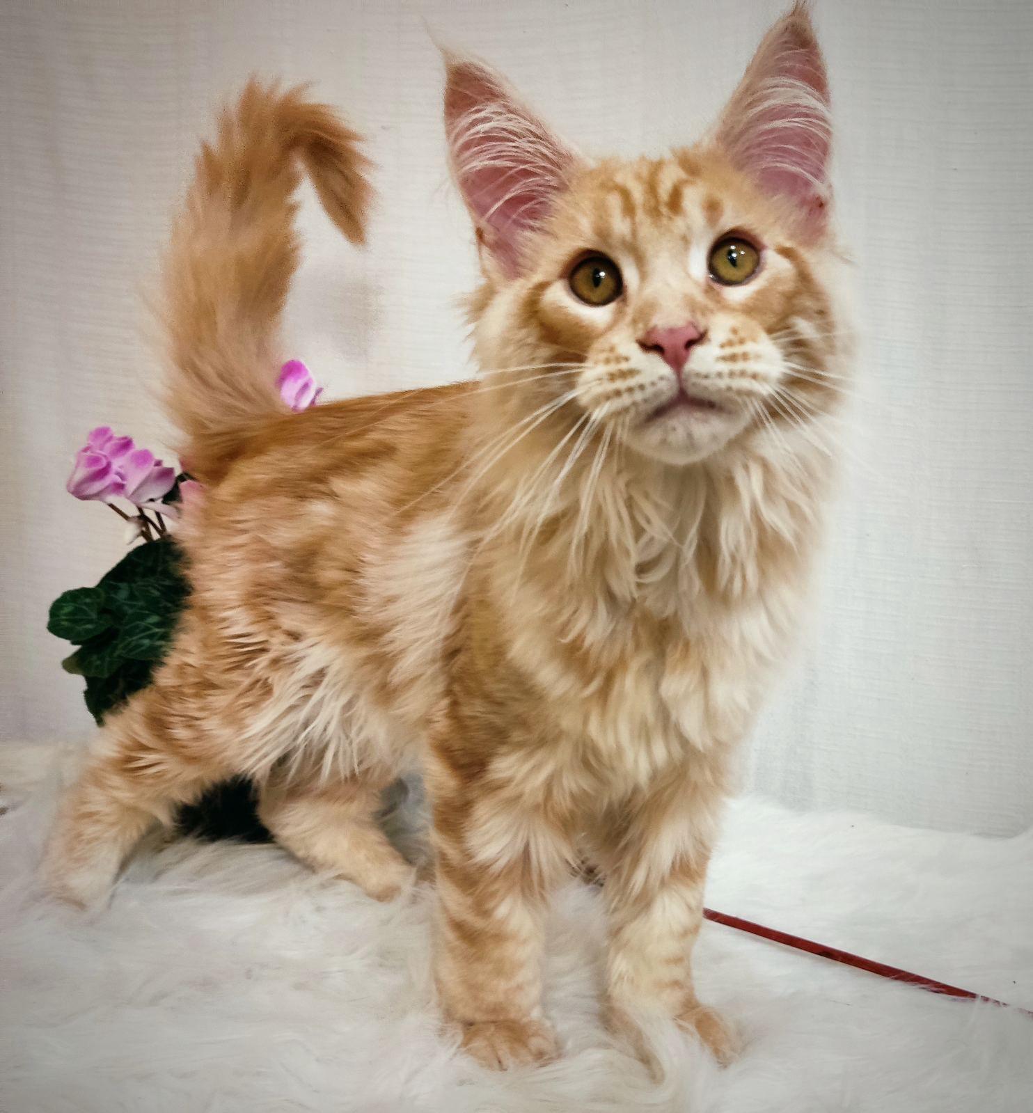 295d241e-7f72-443b-90de-7c0195b3506a