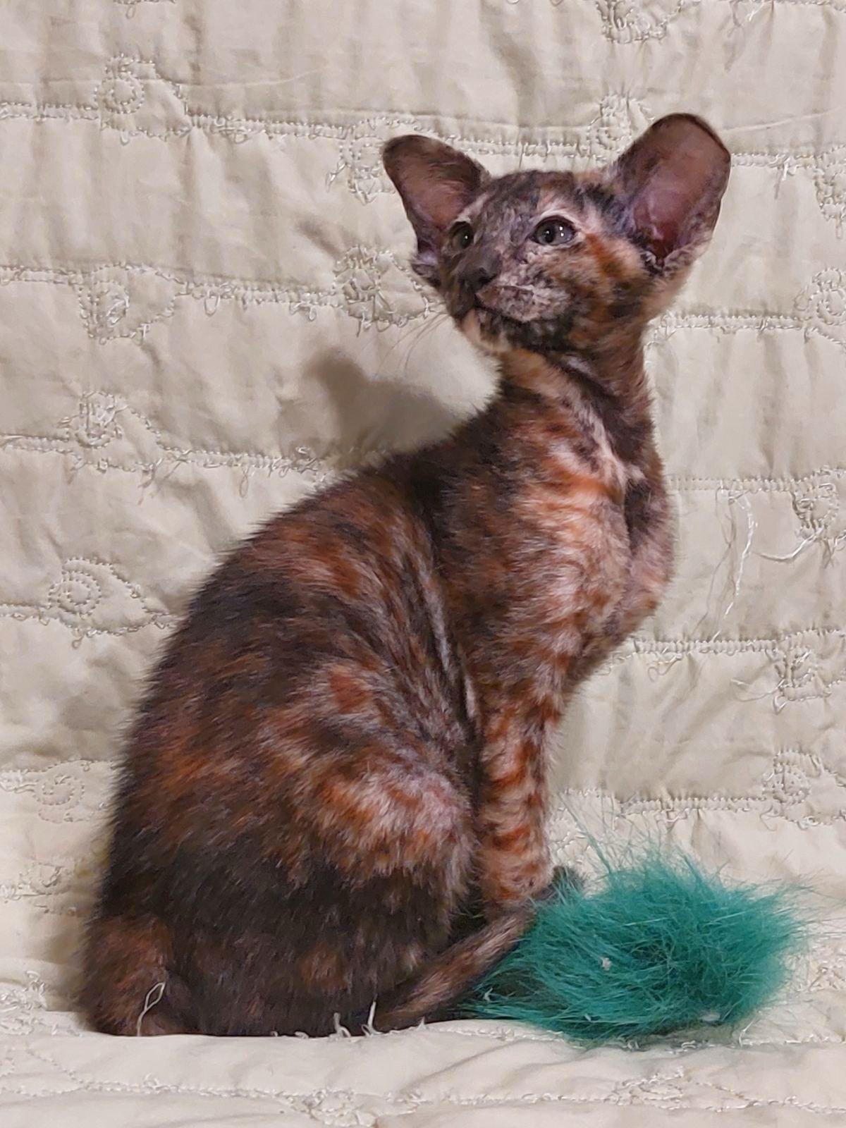 3951ff21-75b8-4577-bd22-4d414a5dc622