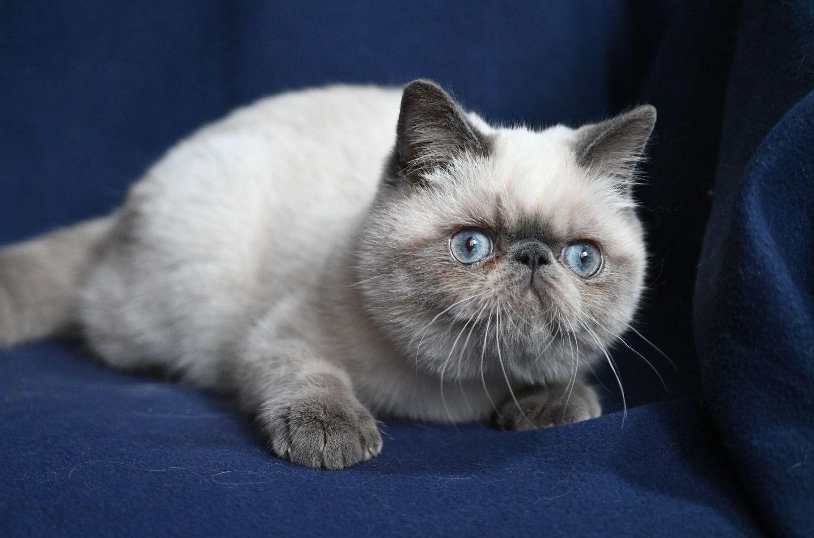 45c3e88d-74c7-4a8c-9e71-9c65694a56b2