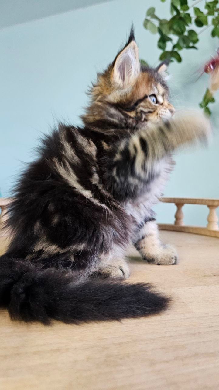 4630de63-0f22-4074-b20f-4b7dde0e4880