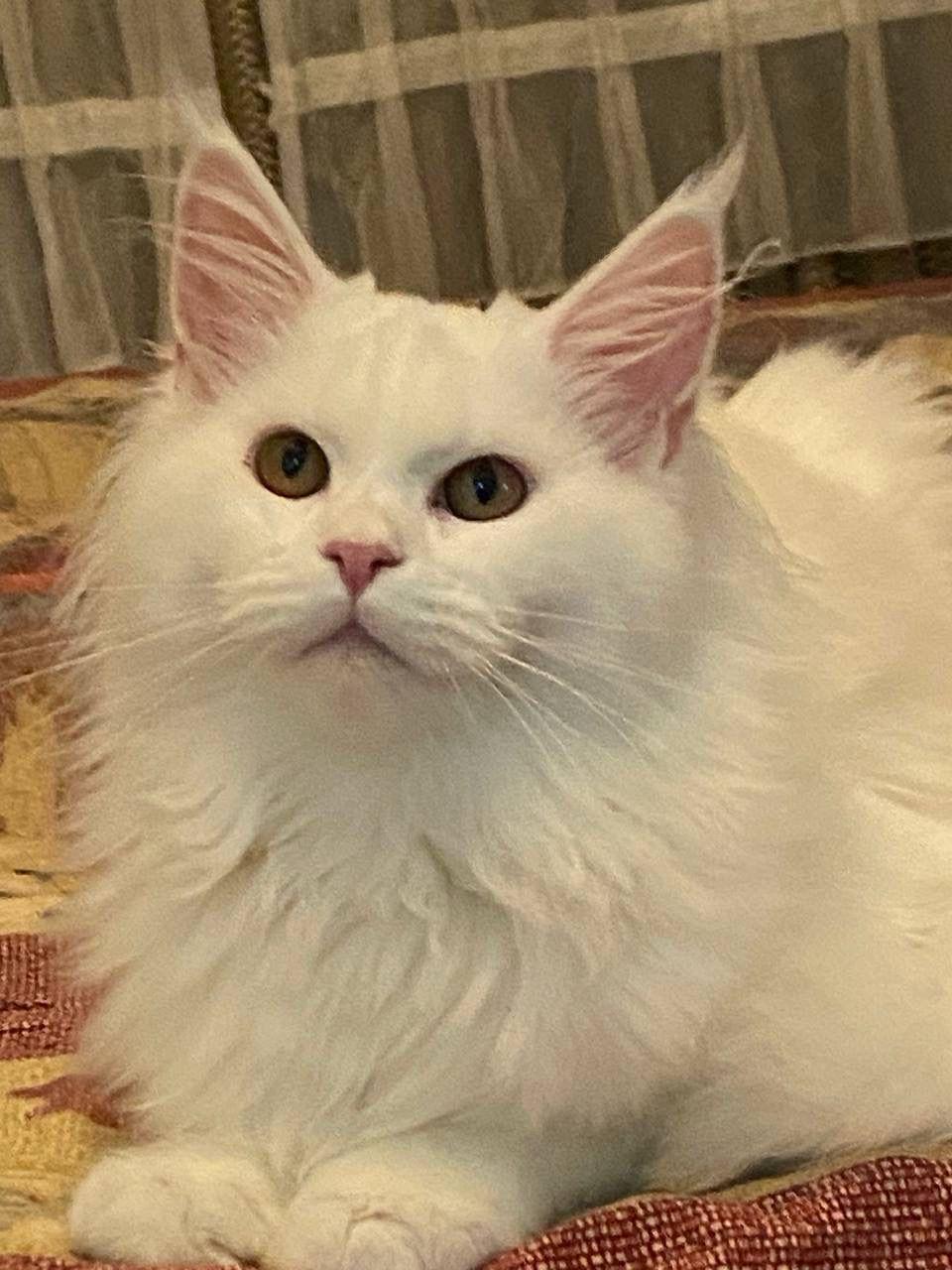 637725b0-0e59-4405-a9d0-ea7d24824e91