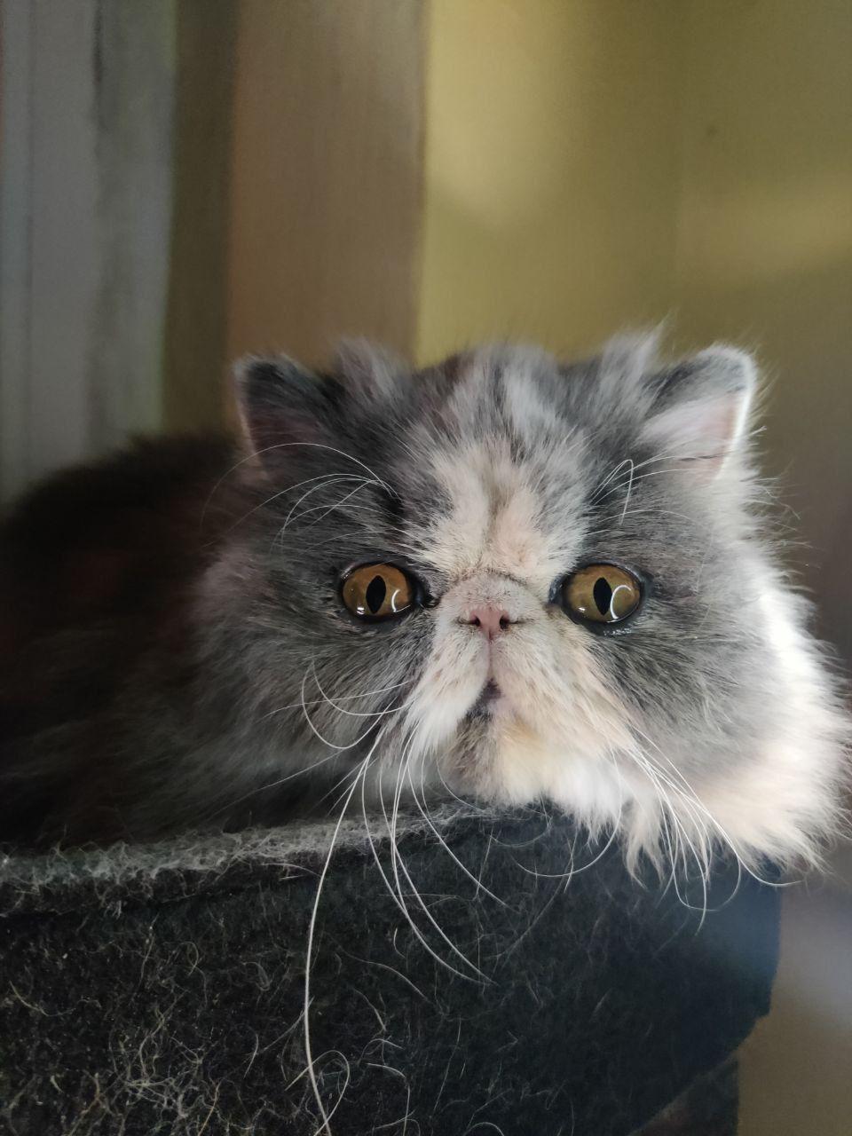 6565cecb-4ad7-4d7c-a067-92ecf8974aa8