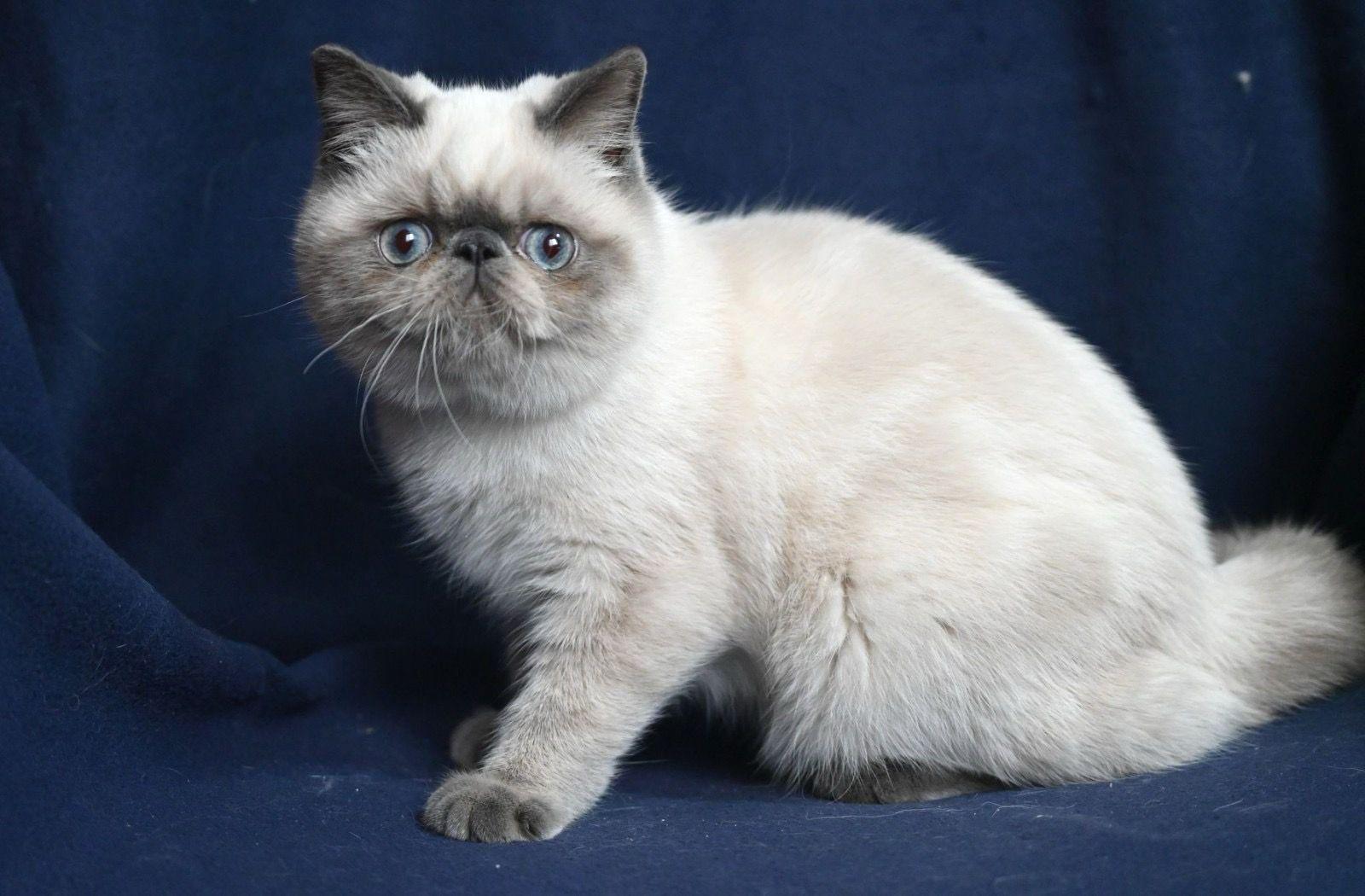 6d0e2859-3885-41a9-9414-06c182a7ff13