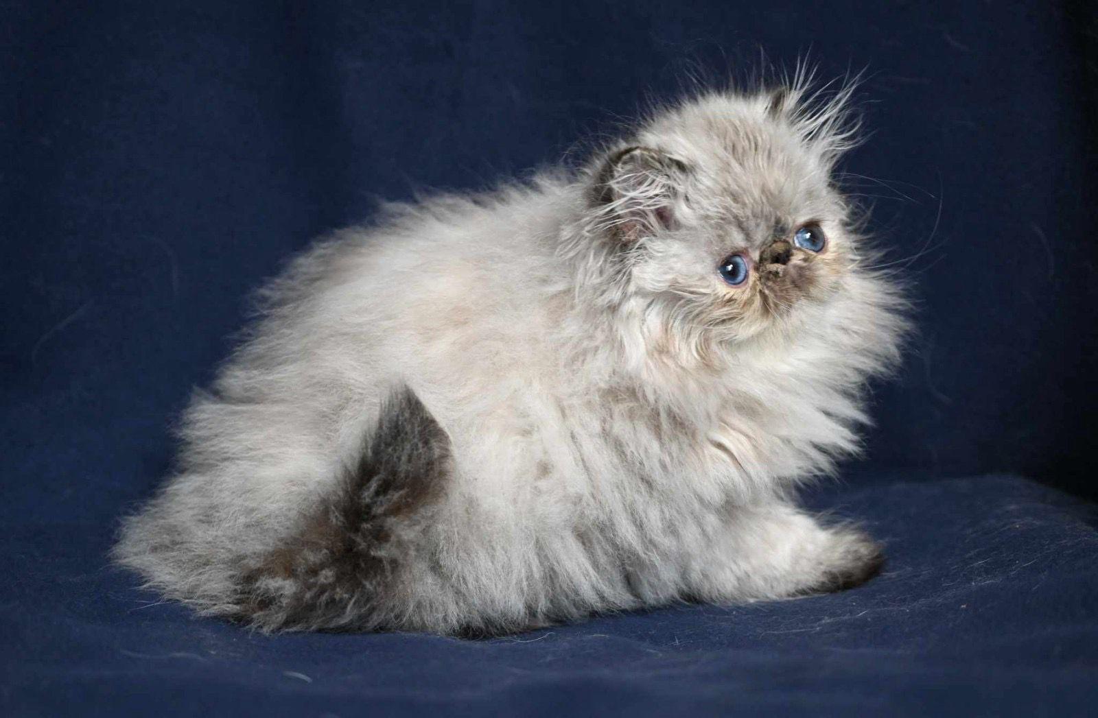 72cf8cb0-2da1-49be-b41a-b6ae6e894b68