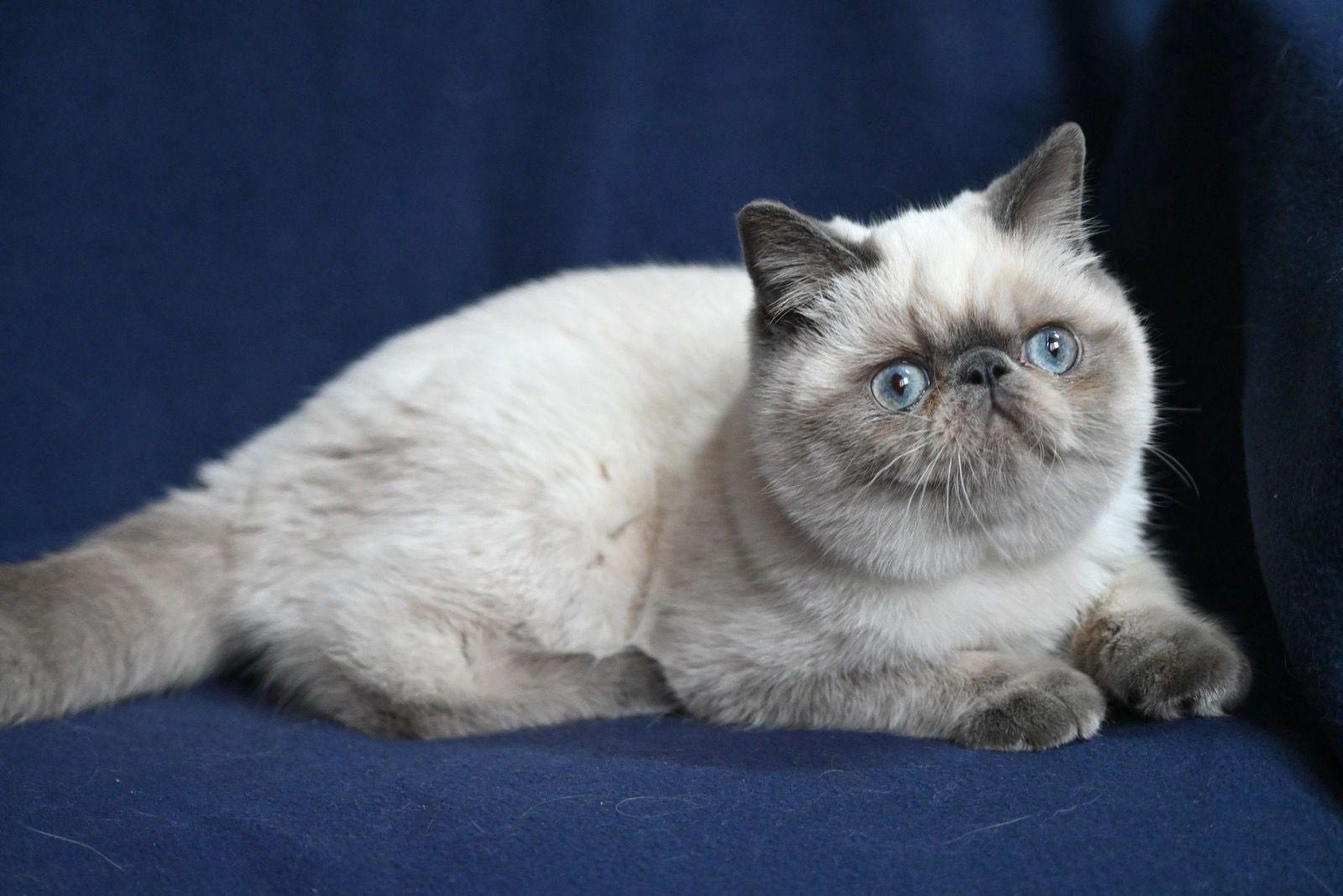 7bd6b1a7-e4f0-4215-8702-09ffef65fd86