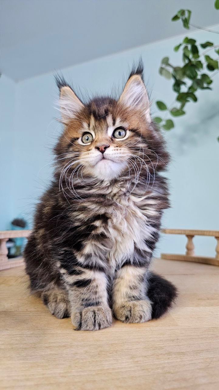 8c83c7b7-bce4-43aa-92ef-ac263171dece