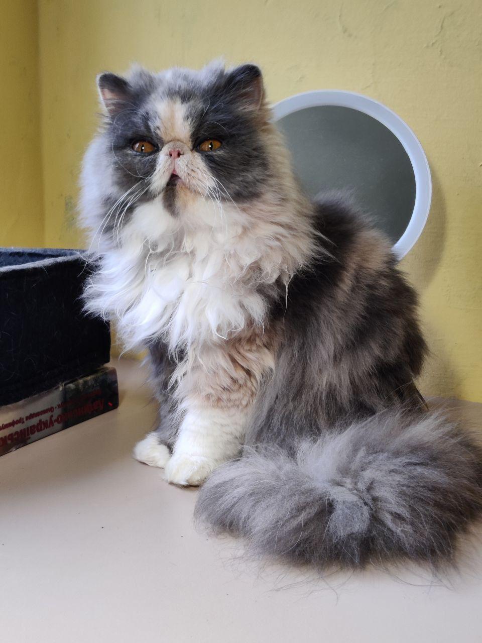 8cd4c442-4b6b-4889-aace-fe1039db3e53