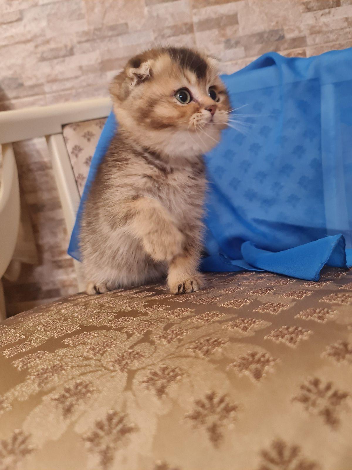 8d3c9bd5-8795-4e0e-ae55-aaf74c3c5c35