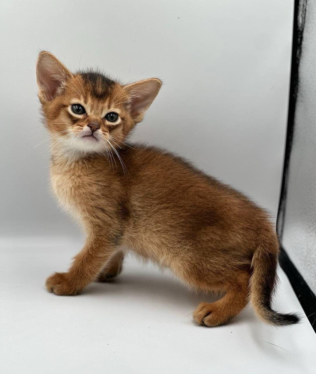 8dd1ec12-f37f-4e90-a4ca-6a775ce5e4a9