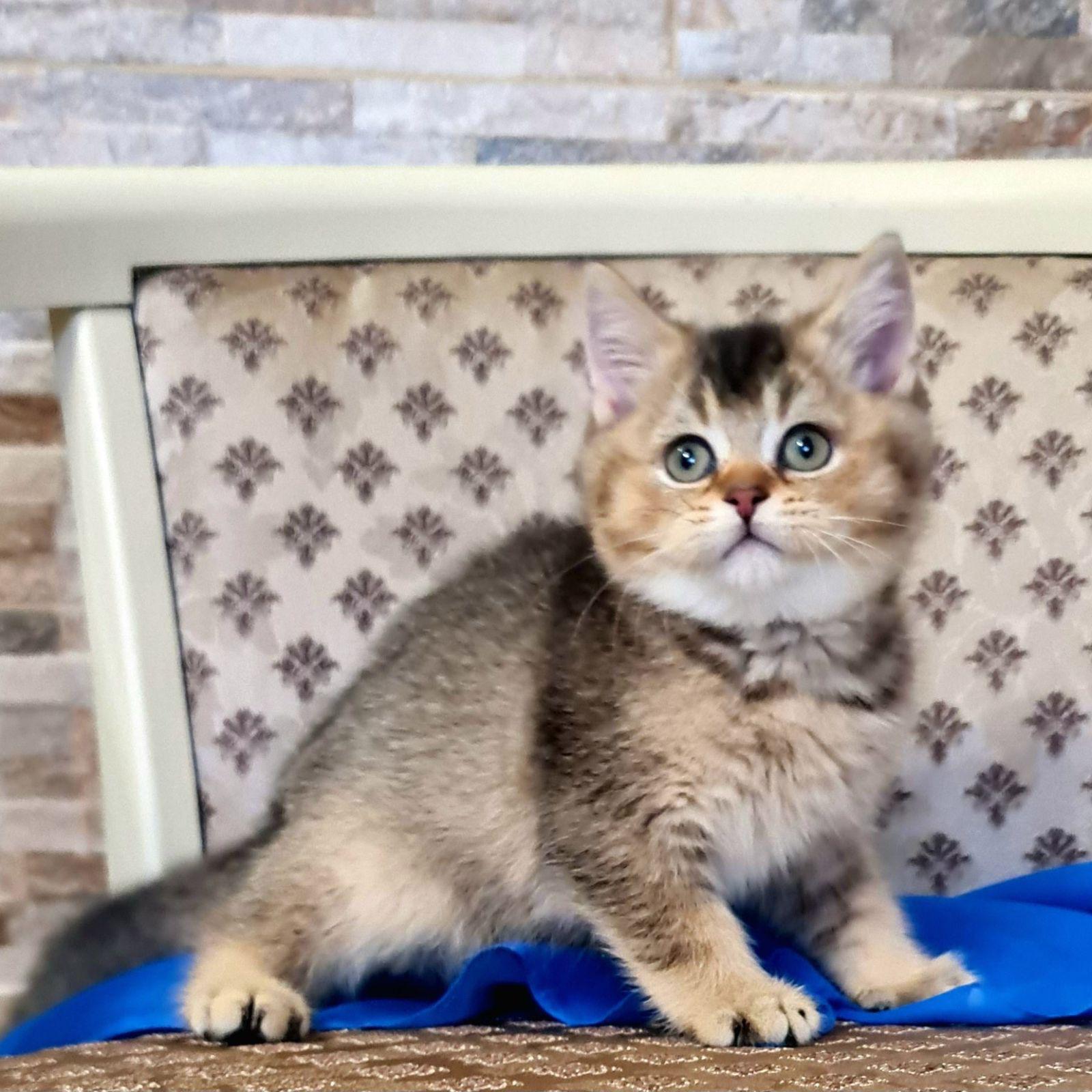 90fd896c-b670-4d46-b3d8-ca205c30bab0