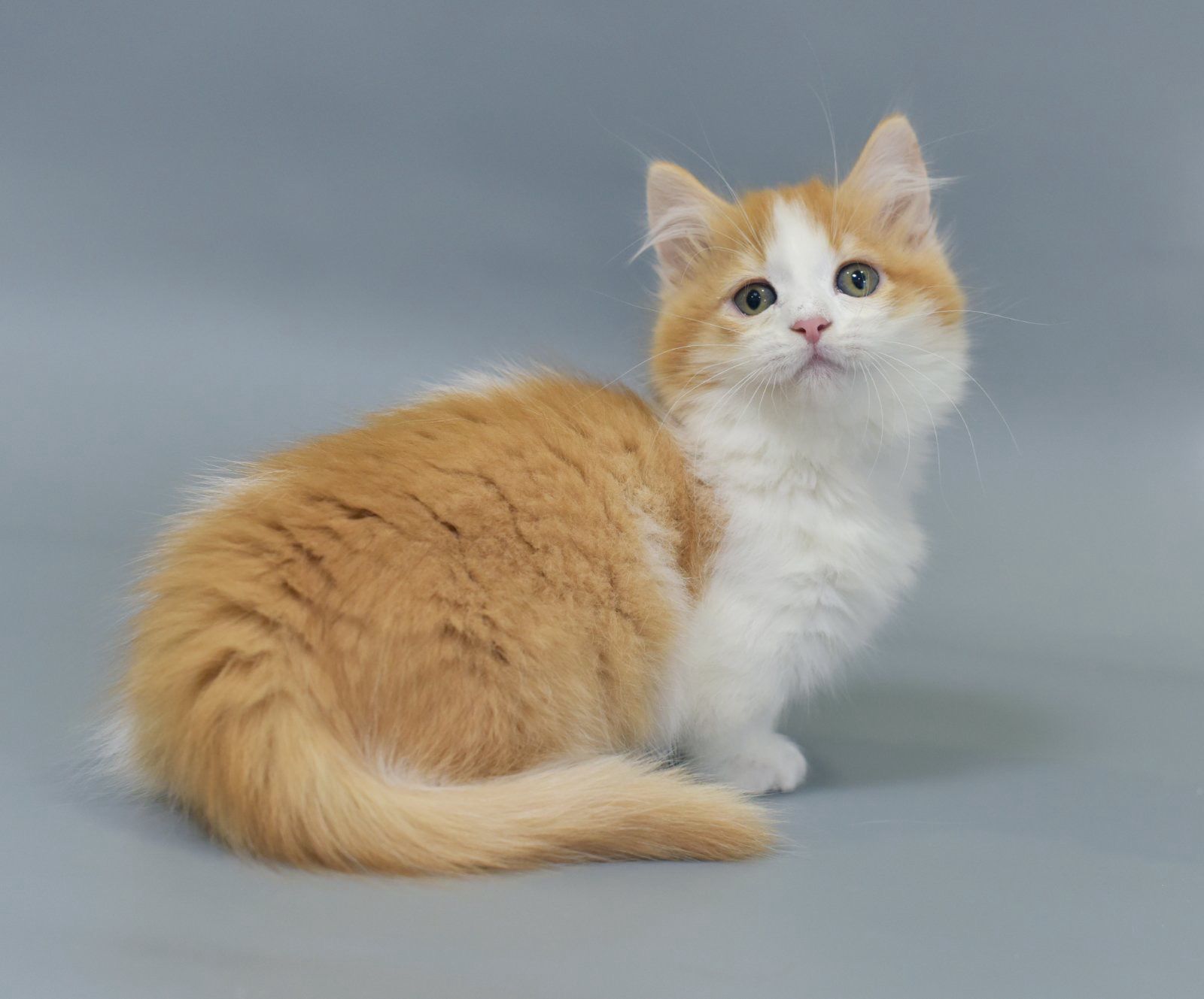 9ozbmAMiJyAW400LBkin20UnzHifh9knJ_21CUhfxQU=_plaintext_638349479966921217