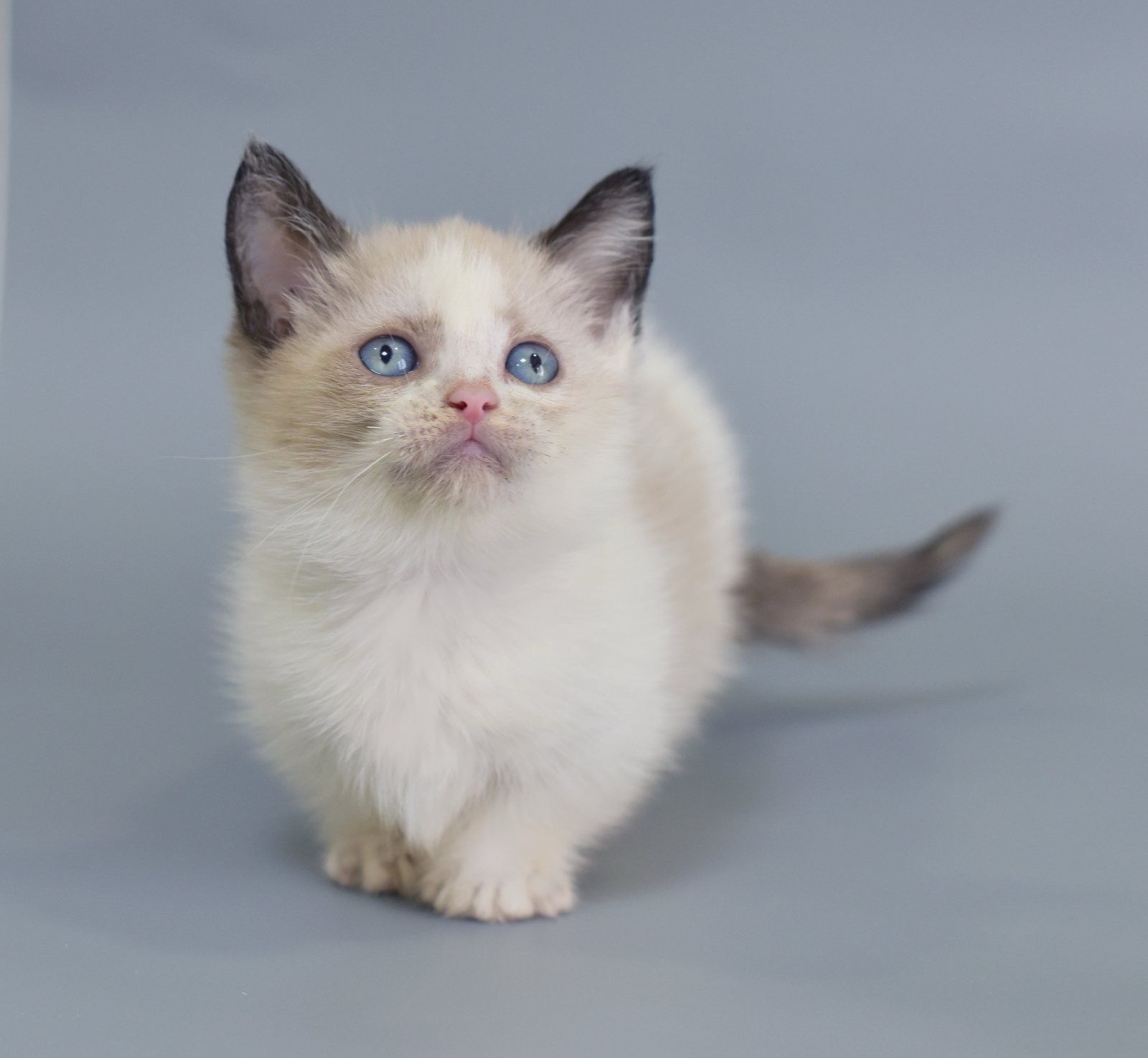 G-iidXsDDWINhRuQW0nUAVhbPvlRI6bWFaG9gYbCQbo=_plaintext_638349479968836083