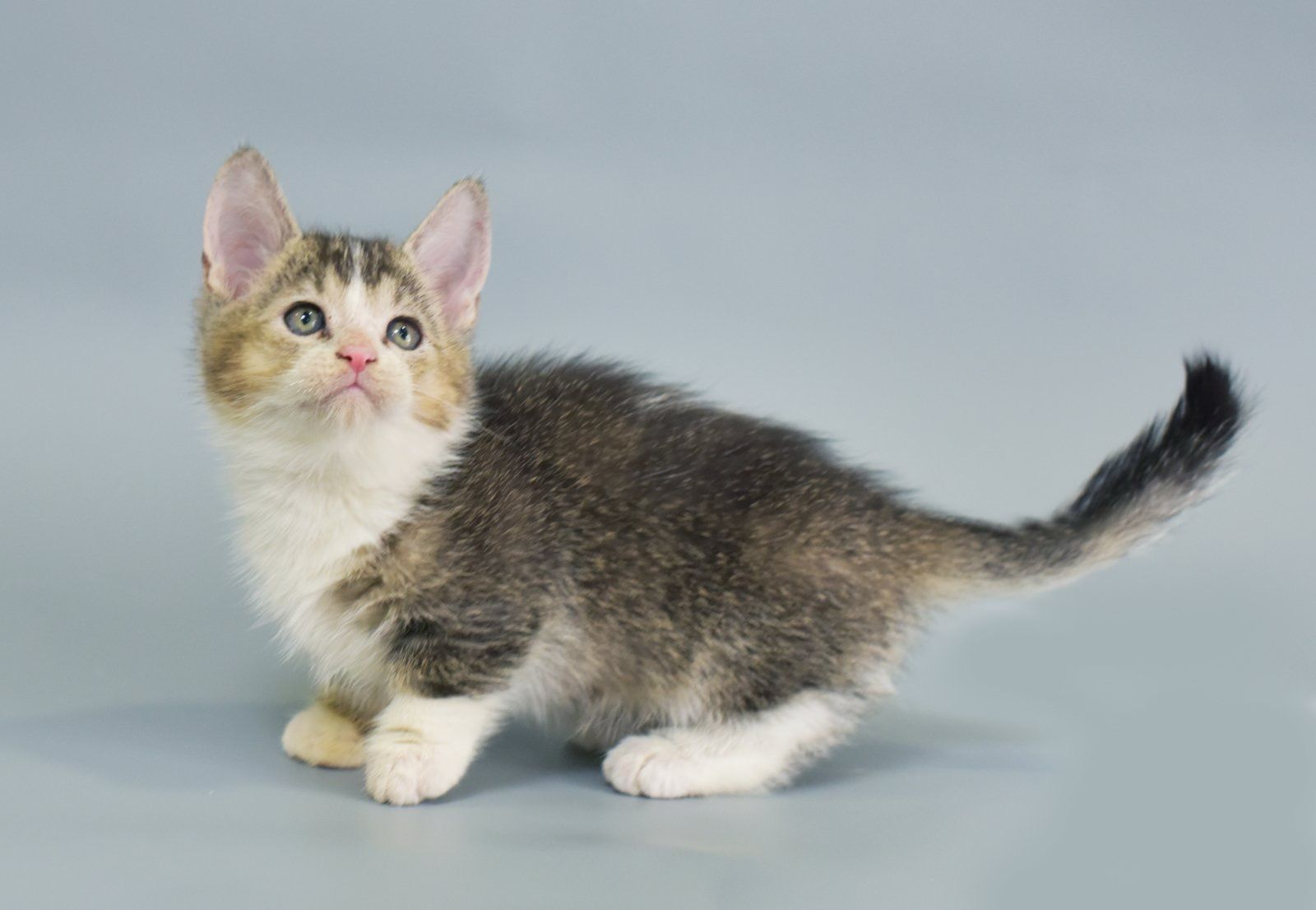 JLT2Ie_LiIWhk2SgxGjczSsJ6mit6gnF74iHUhyL_6w=_plaintext_638349479969913204