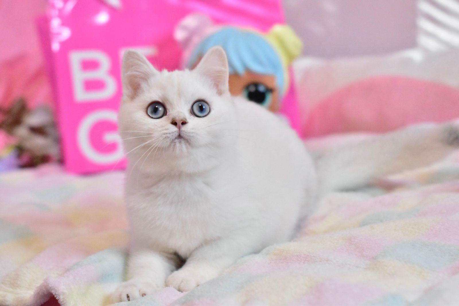 KbJxaXUNc_Cp1YC3l4lxJFI1AfUjCBjZazYkt_CUcQw=_plaintext_638349479963510581