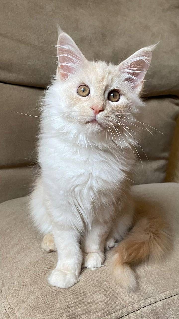 PHOTO-2023-11-17-21-31-49 2