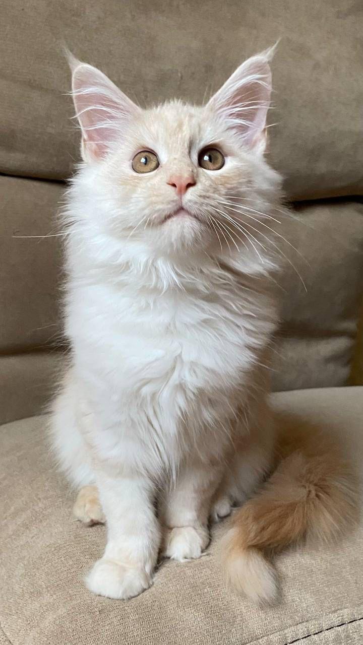 PHOTO-2023-11-17-21-31-49 3