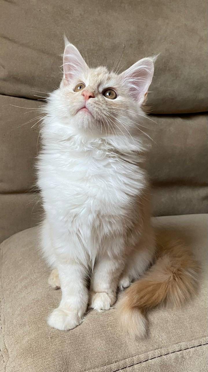 PHOTO-2023-11-17-21-31-49