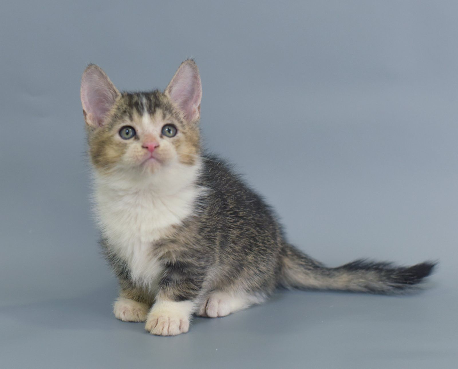 RwAe6tNQu1jYZjyANI3kxSnoHfeiD4ps3t83vXEx3is=_plaintext_638349479970042862