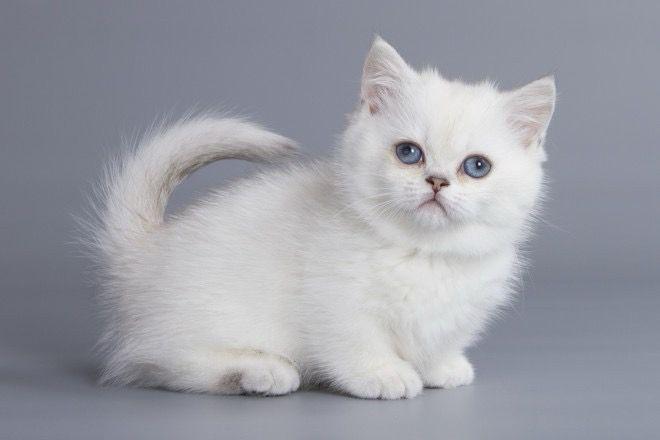 WhatsApp Image 2023-11-13 at 19.52.57 (1)