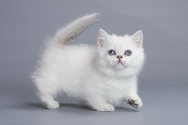 WhatsApp Image 2023-11-13 at 19.52.57 (2)