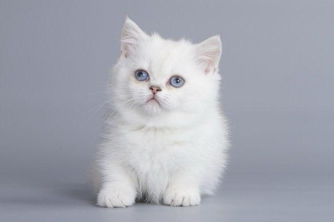 WhatsApp Image 2023-11-13 at 19.52.57 (3)