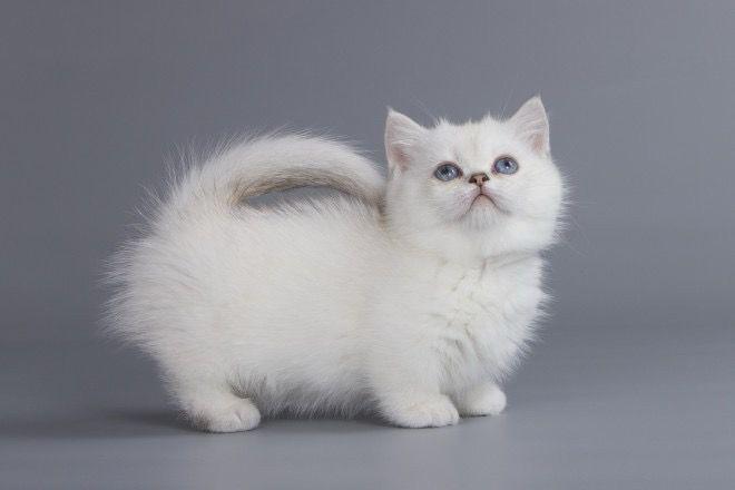 WhatsApp Image 2023-11-13 at 19.52.57