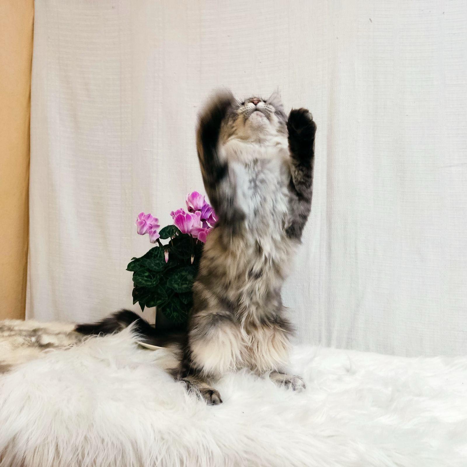 WhatsApp Image 2023-11-17 at 21.16.53