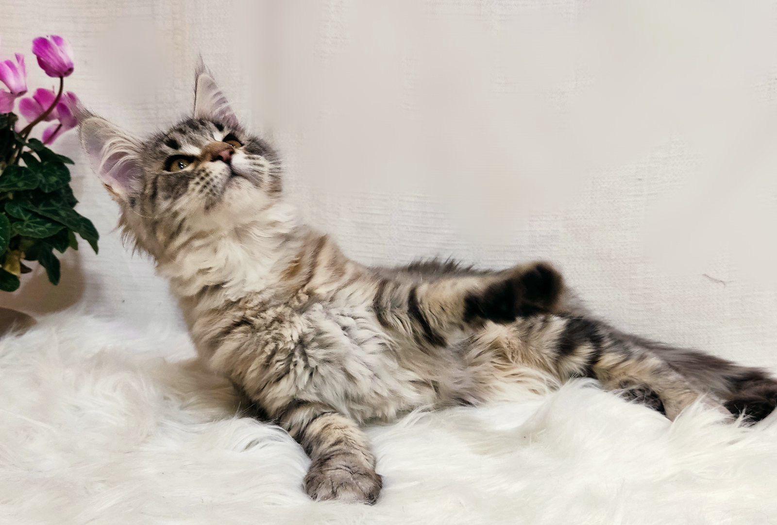 WhatsApp Image 2023-11-17 at 21.16.55