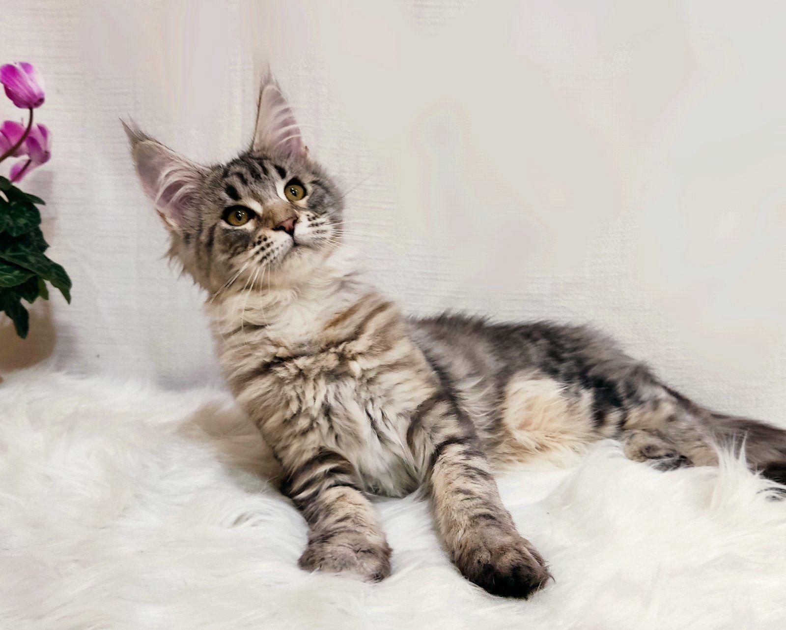 WhatsApp Image 2023-11-17 at 21.16.56