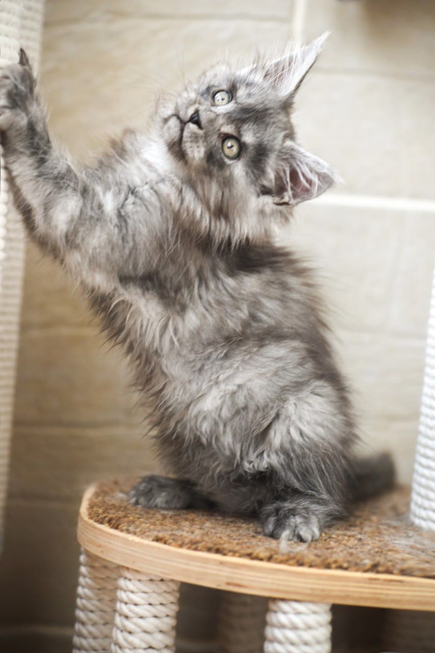 WhatsApp Image 2023-11-17 at 21.21.45