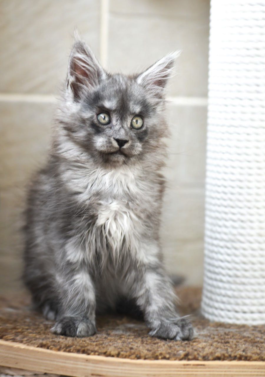 WhatsApp Image 2023-11-17 at 21.21.46 (1)