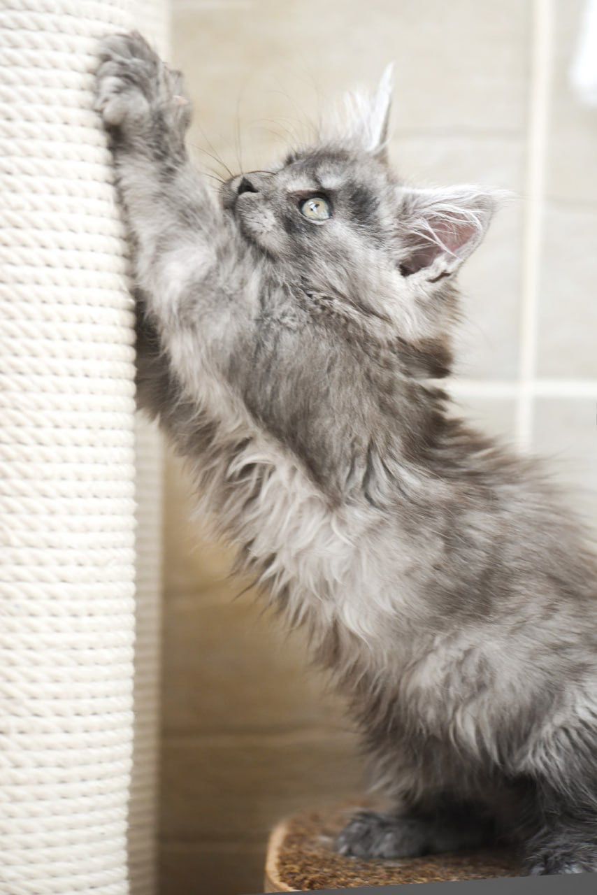 WhatsApp Image 2023-11-17 at 21.21.46