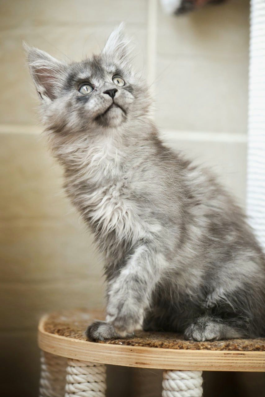 WhatsApp Image 2023-11-17 at 21.21.47