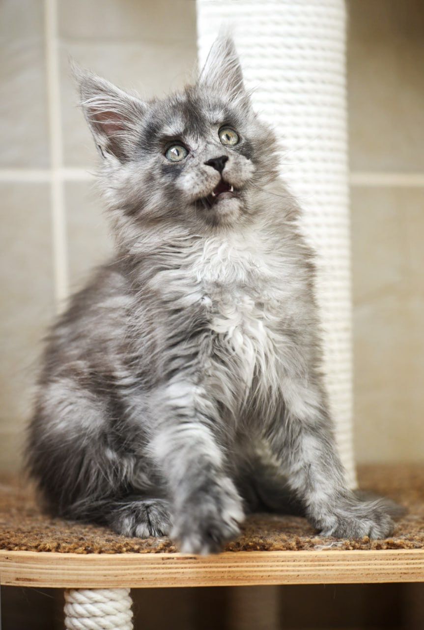 WhatsApp Image 2023-11-17 at 21.21.48