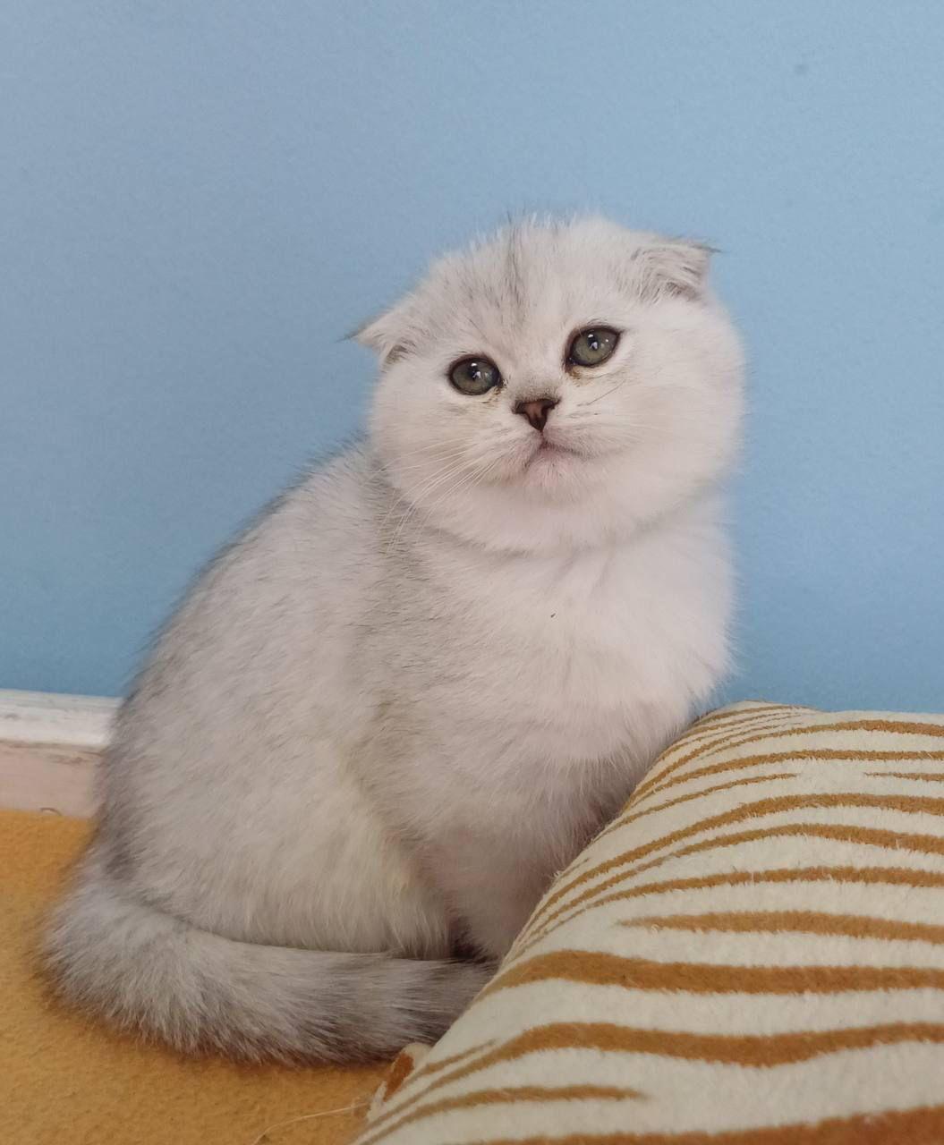 WhatsApp Image 2023-11-17 at 21.29.37