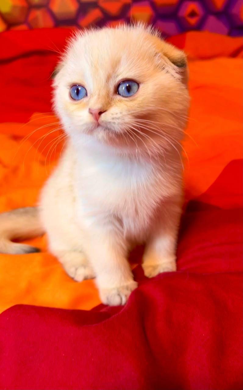 WhatsApp Image 2023-11-17 at 21.30.49 (1)