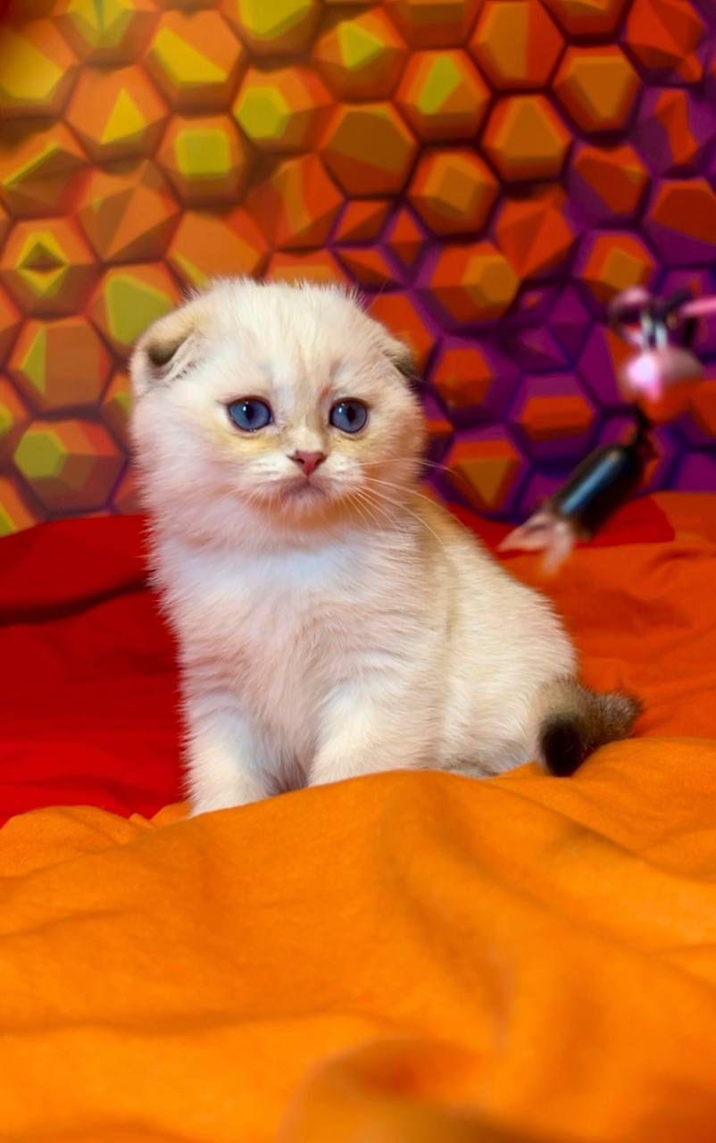 WhatsApp Image 2023-11-17 at 21.30.49 (3)