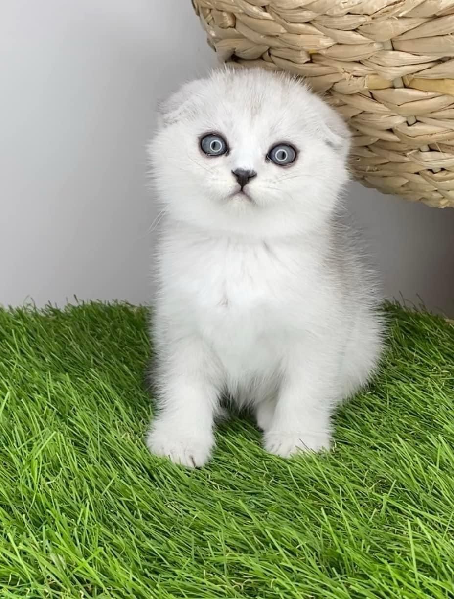 WhatsApp Image 2023-11-18 at 15.10.07