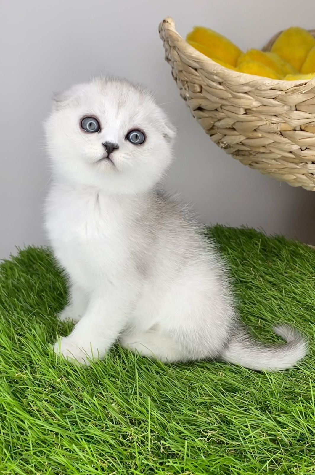 WhatsApp Image 2023-11-18 at 15.10.08