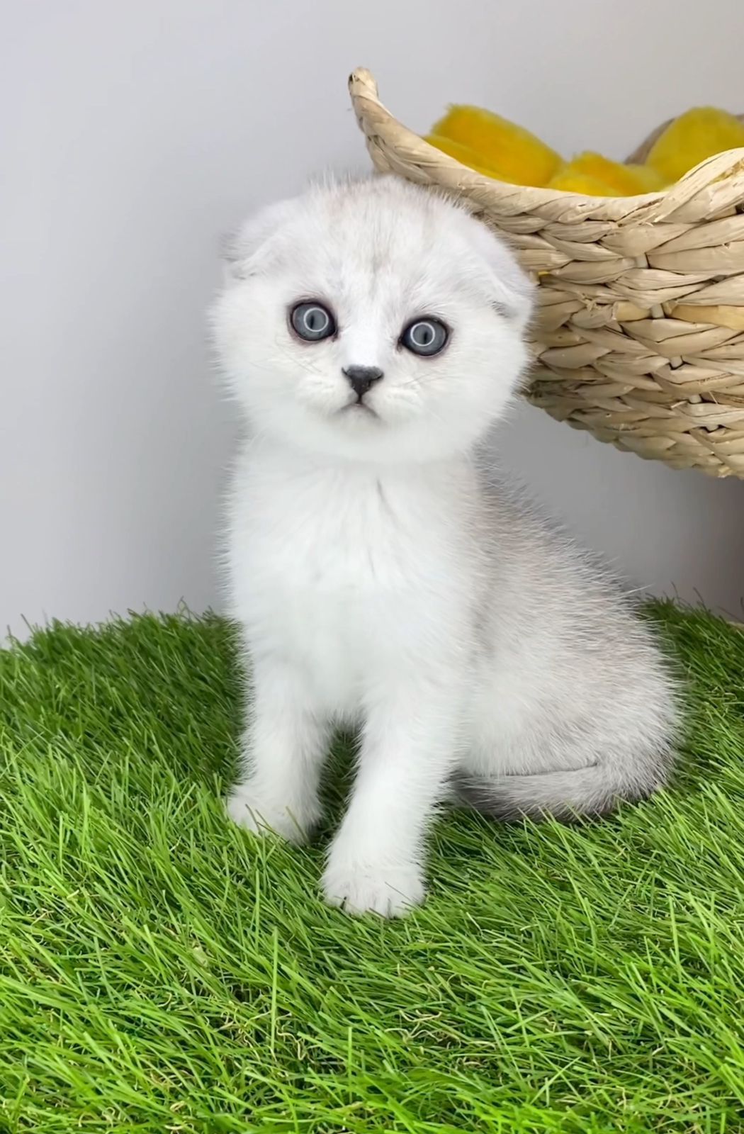 WhatsApp Image 2023-11-18 at 15.10.11 (1)