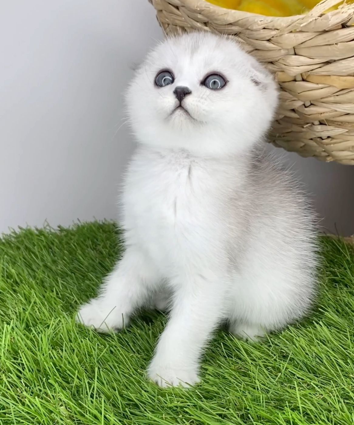 WhatsApp Image 2023-11-18 at 15.10.11 (2)