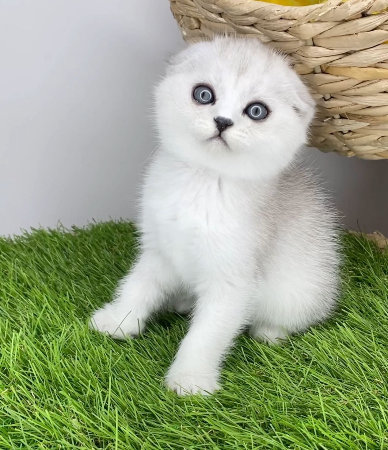 WhatsApp Image 2023-11-18 at 15.10.11