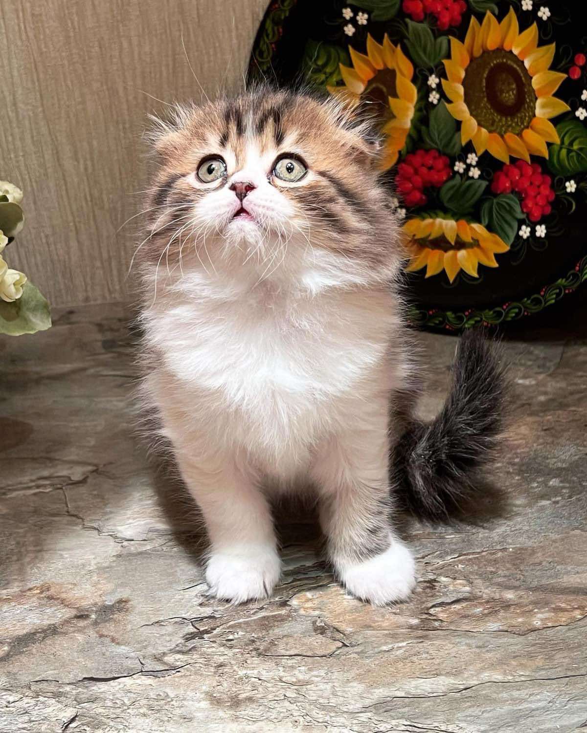 WhatsApp Image 2023-11-18 at 15.36.18