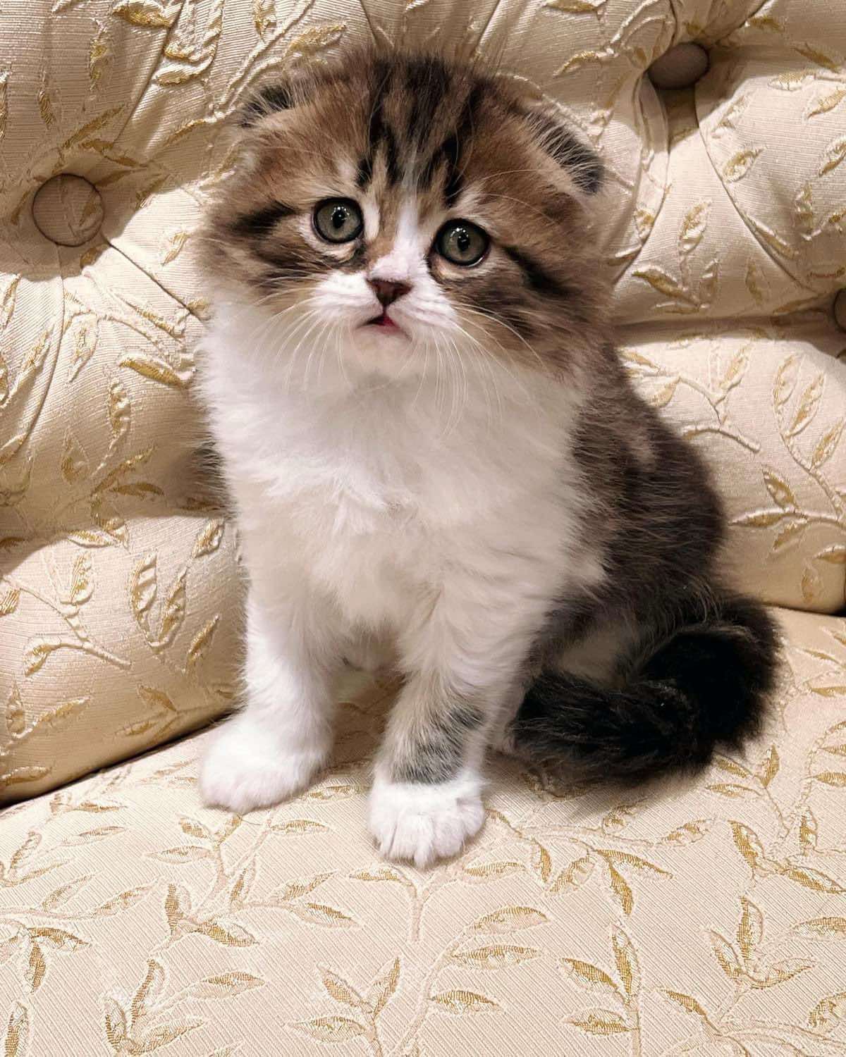 WhatsApp Image 2023-11-18 at 15.36.19