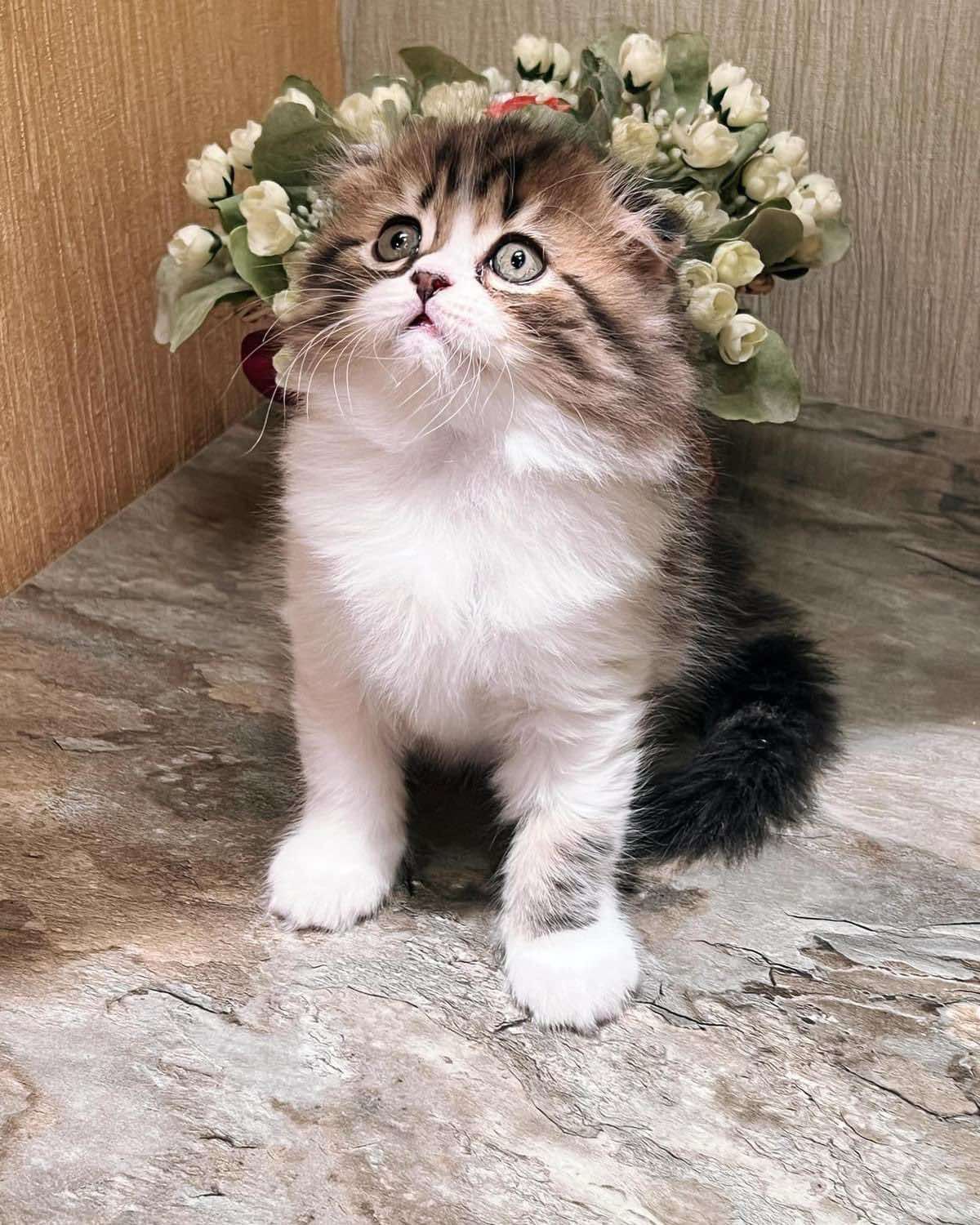 WhatsApp Image 2023-11-18 at 15.36.20